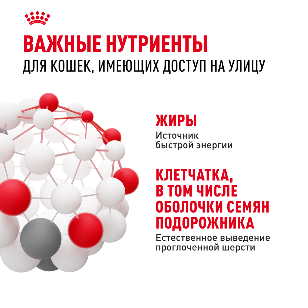 Royal Canin Fit 32 Фит 32 Корм сухой для взрослых умеренно активных кошек от 1 года 4кг