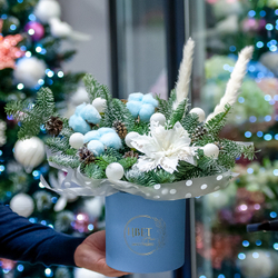 Нобилис в шляпной коробке в голубом оформлении