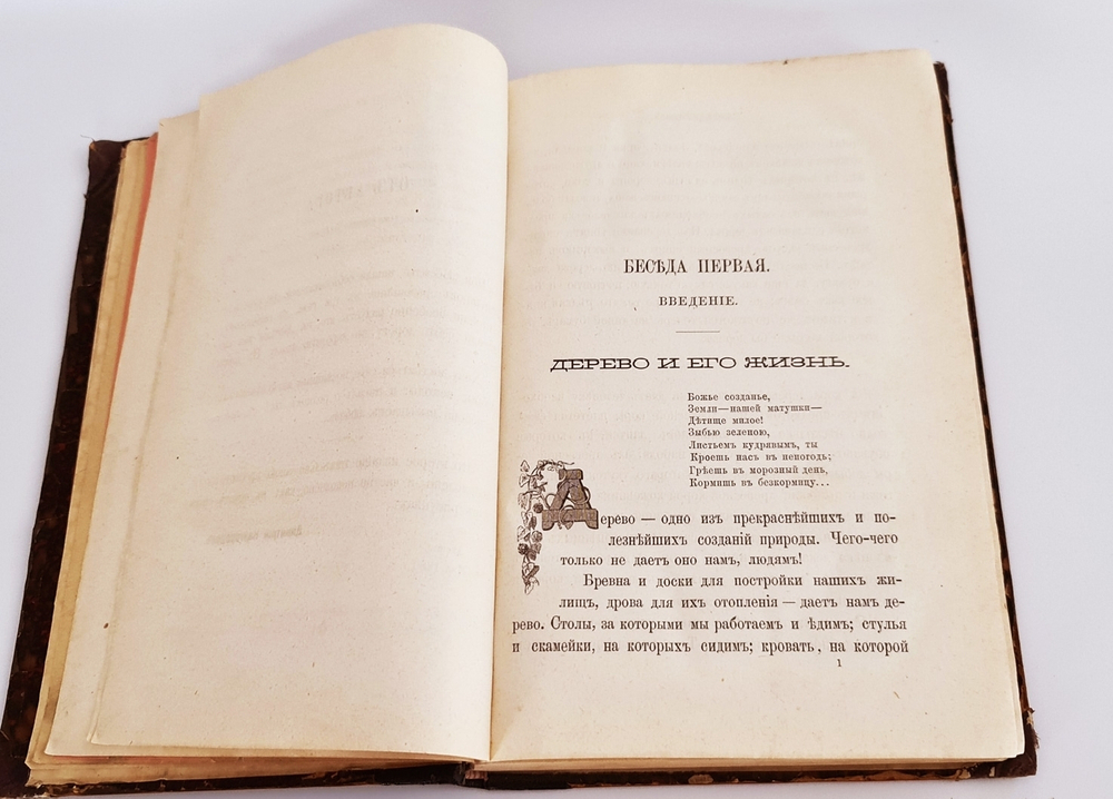 "Беседы о русском лесе". Д.Н.Кайгородов. 1885г.