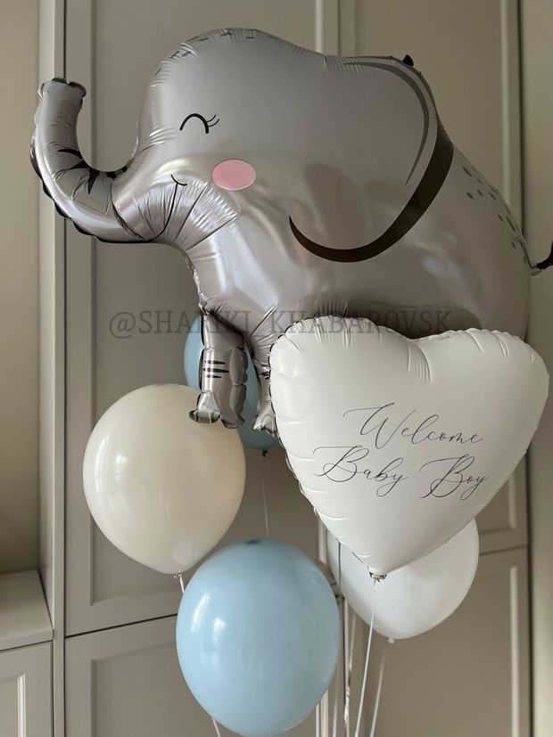 Шары на выписку №8026