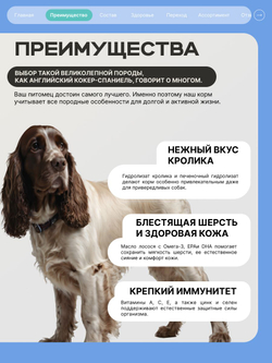Корм для взрослых собак породы Английский кокер-спаниель, с кроликом, 3 кг, QUATTRO