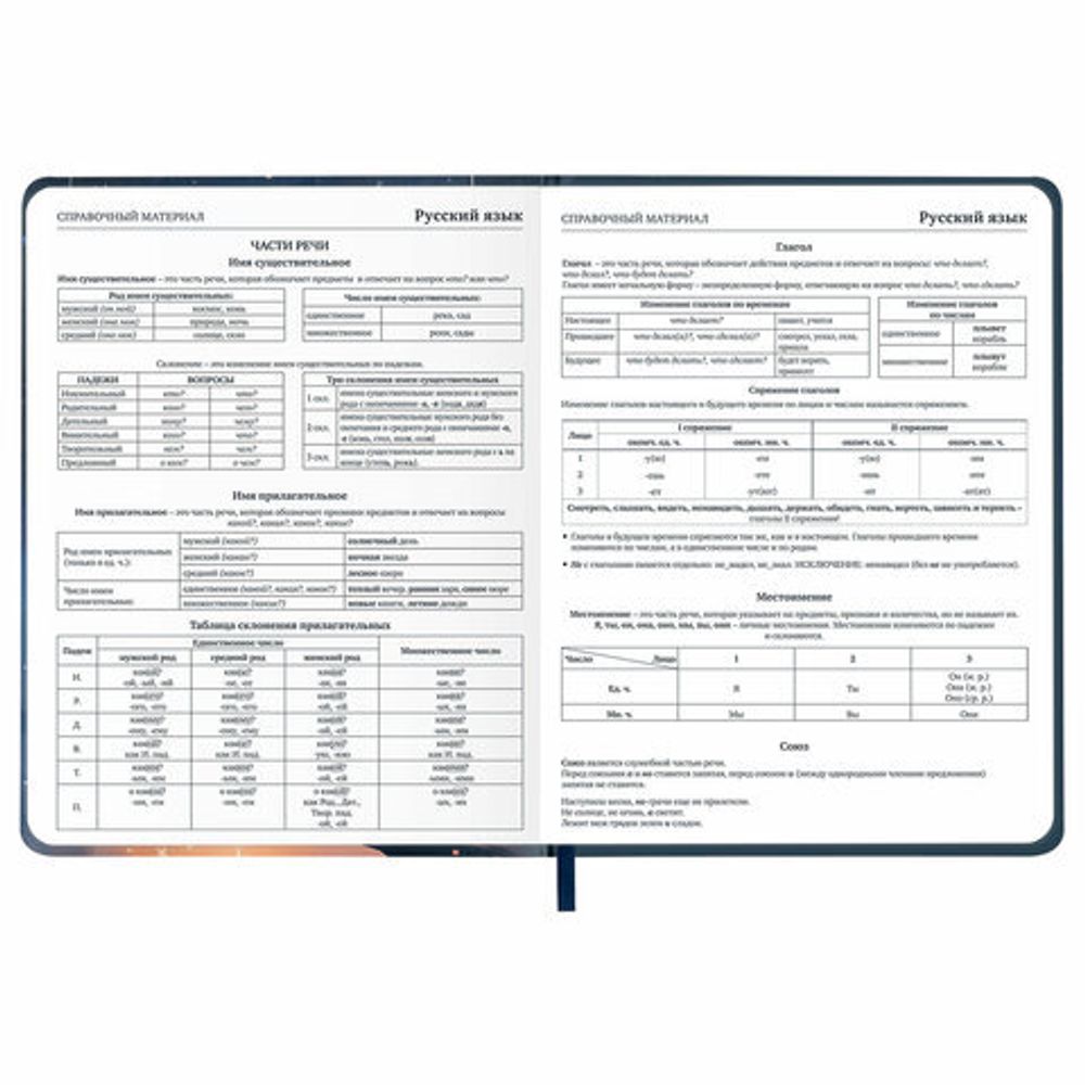Дневник 1-11 класс 48 л., кожзам (твердая с поролоном), печать, наклейки, BRAUBERG, "Сова", 106947