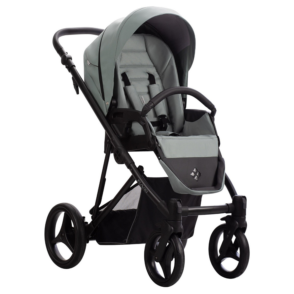 Детская коляска Bebetto Flavio Pro 2 в 1 09 шалфей кожа