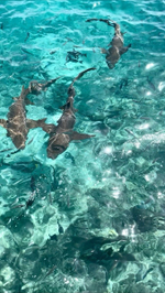 Пляжный отдых на Мальдивах