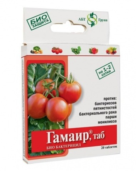 Гамаир