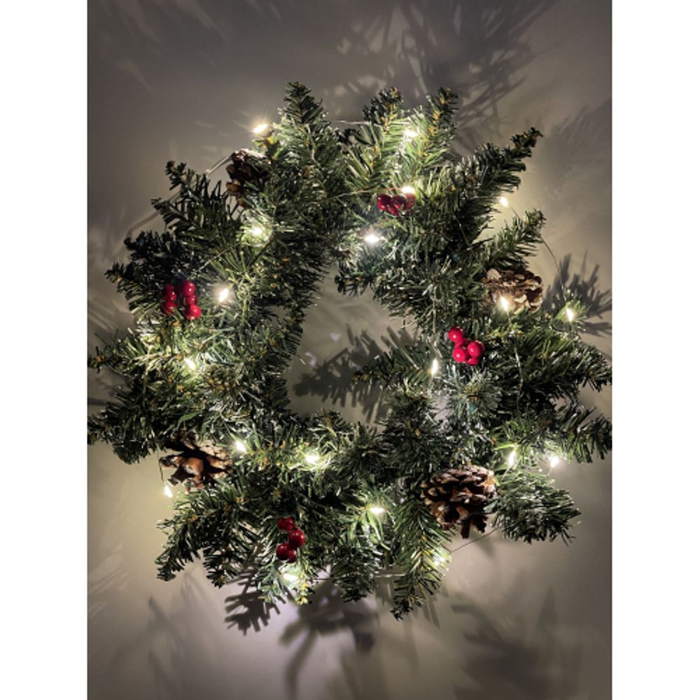 ENIN-2B ЭРА Гирлянда LED Нить 2 м теплый свет, АА, IP20