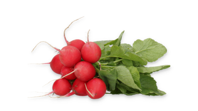 Миллом F1 семена редиса (Rijk Zwaan / Райк Цваан)