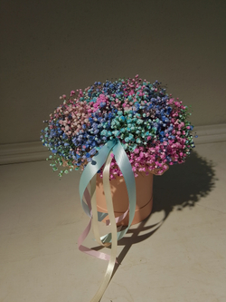 Трендовая гипсофила в разноцветной гамме (КМ0001)