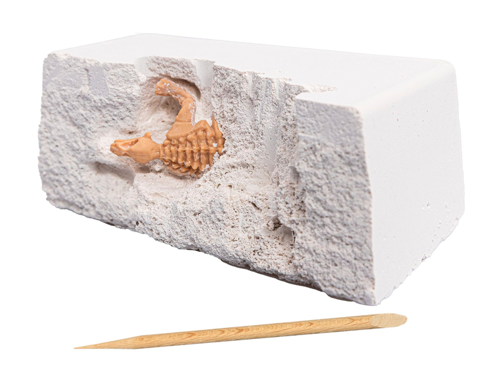 Раскопки набор юного палеонтолога 3 динозавра