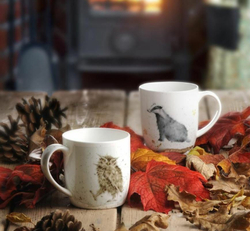 Royal Worcester - Wrendale Designs 310 мл Кружка What a Hoot / артикул   MMKD5629-XT  / GTIN 749151553217