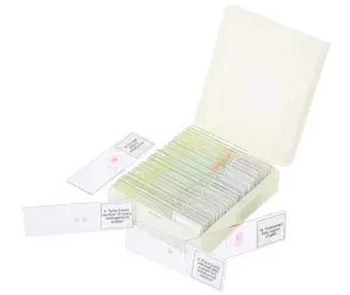 Набор микропрепаратов Levenhuk Discovery Prof DPS 25. «Биология, Птицы и др.»