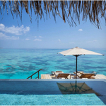 Зонт профессиональный 2х2 м Theumbrela Semsiye Evi Avocado Clips