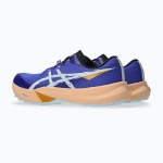 Кроссовки для бега ASICS Fuji Lite 6 cobalt burst/cool grey