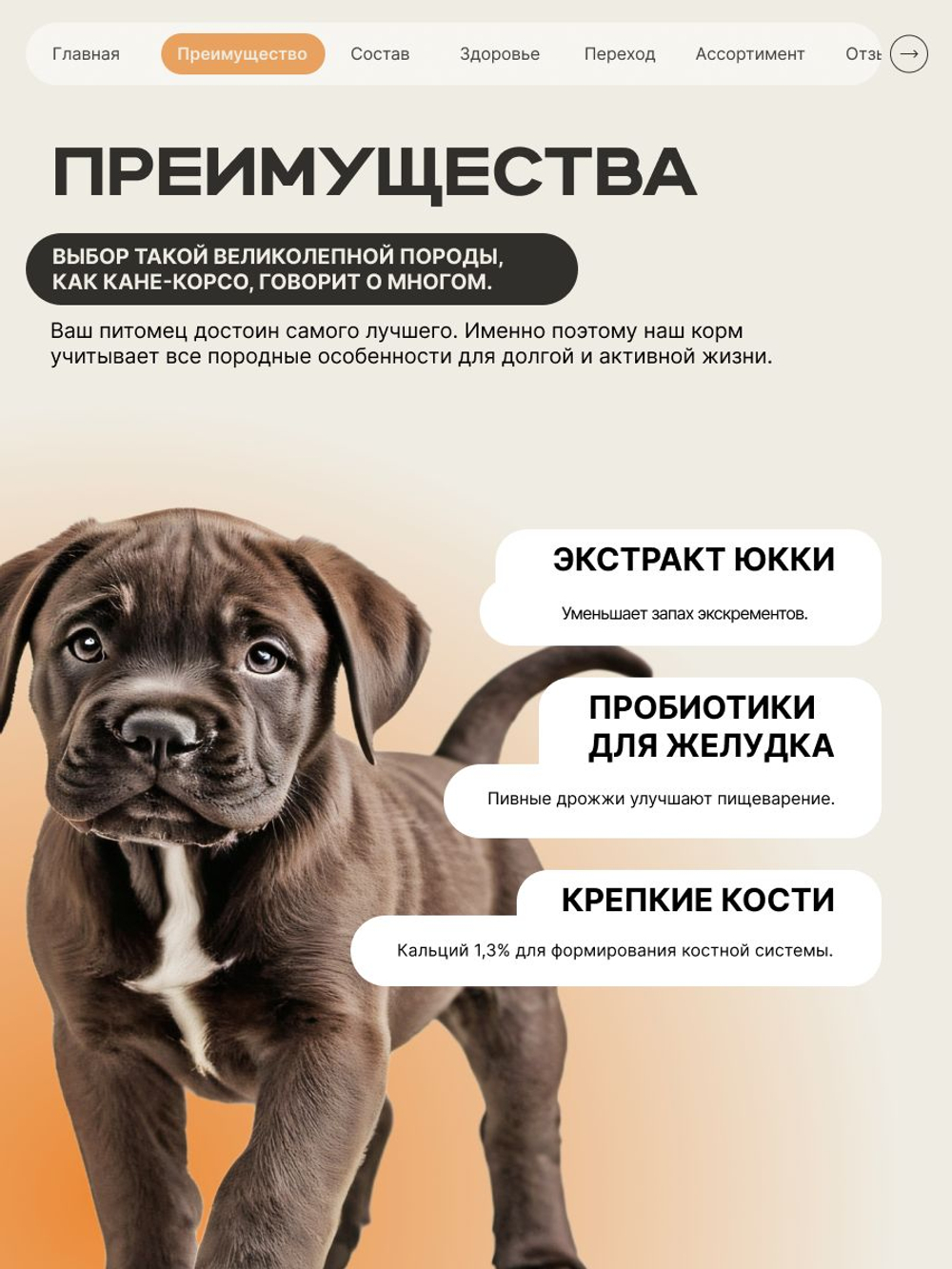 Корм сухой для щенков породы Кане корсо, с индейкой, 3 кг, QUATTRO