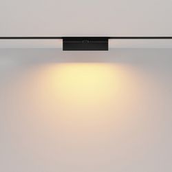 Накладной светильник Maytoni Basis Rot TR036-2-12W2.7K-B