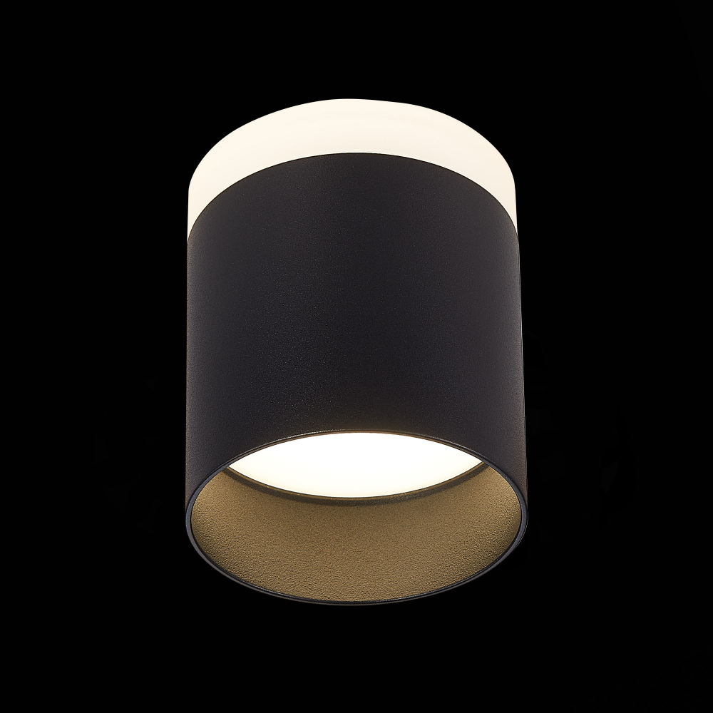 ST102.442.12 Светильник потолочный Черный LED 1*12W 4000K 936Lm Ra&gt;80 120° IP20 D100xH90 170-240V Накладные светильники