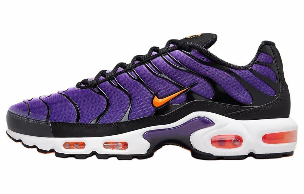 Кроссовки Nike Air Max Plus