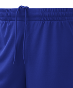 Шорты баскетбольные PerformDry Division Star, синий