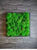 Квадратное панно на стену 20*20 из мха набор 2 шт.