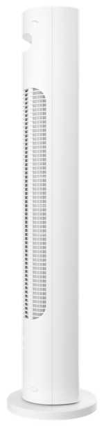 Бытовой вентилятор серии RBF-801E-WT