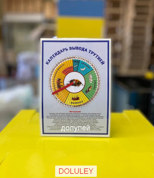 Календарь вывода трутней (со стрелкой)