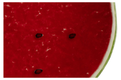 Тарелка закусочная Bordallo Pinheiro Арбуз 21см