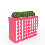 Вазон Множественность