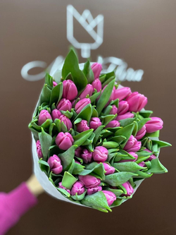 51 Тюльпан 8 Марта М-65