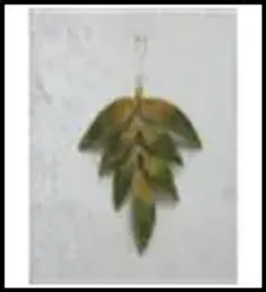 Винтажное украшение Лист Папоротника 15х20 см., зеленый с золотом, 1 шт., Christmas DeLuxe (89088)