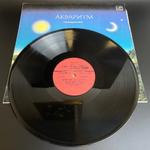 LP Группа "Аквариум" - Равноденствие. Русский рок. Музыка и слова Бориса Гребенщикова, Иван-чай/ Великий дворник/ Наблюдатель и др . Виниловая пластинка 12 дюймов. Мелодия СССР 1988 год.