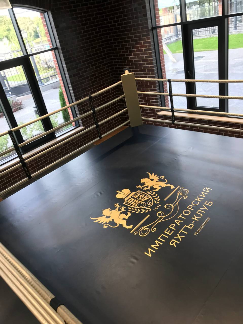 Ринг боксерский TARGEX на помосте высотой 0,5 м