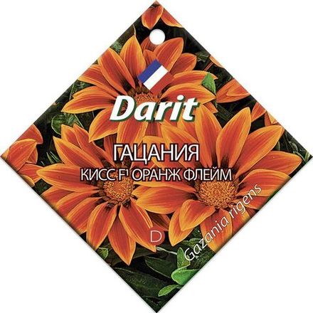 Гацания Кисс Оранж Флейм F1, семена Дарит 7шт (500)