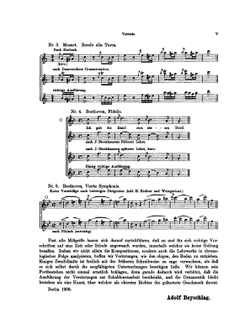 Die Ornamentik Der Musik | A. Beyschlag