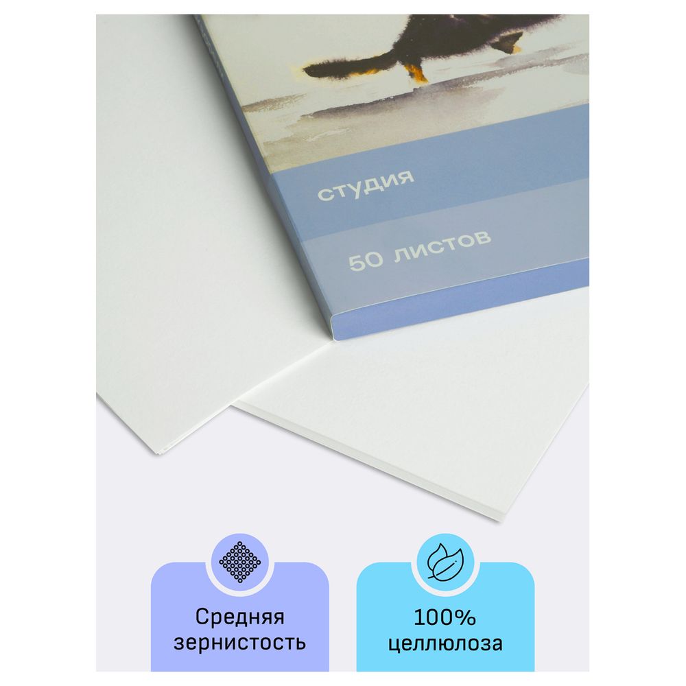 Папка для акварели А4, 50л, 200гр/м, Гамма Студия, среднее зерно