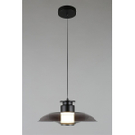 Подвесной светодиодный светильник Aployt Stefa APL.648.06.10