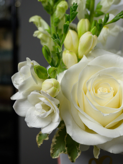 Сделать комплимент 2