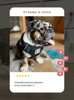 Амортизирующий поводок FATBOY RUFF Zee.Dog