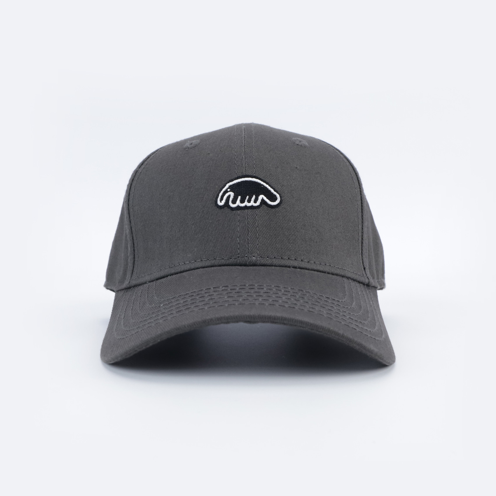 Кепка Anteater Baseball (grey) артикул: - купить в магазине Дайс