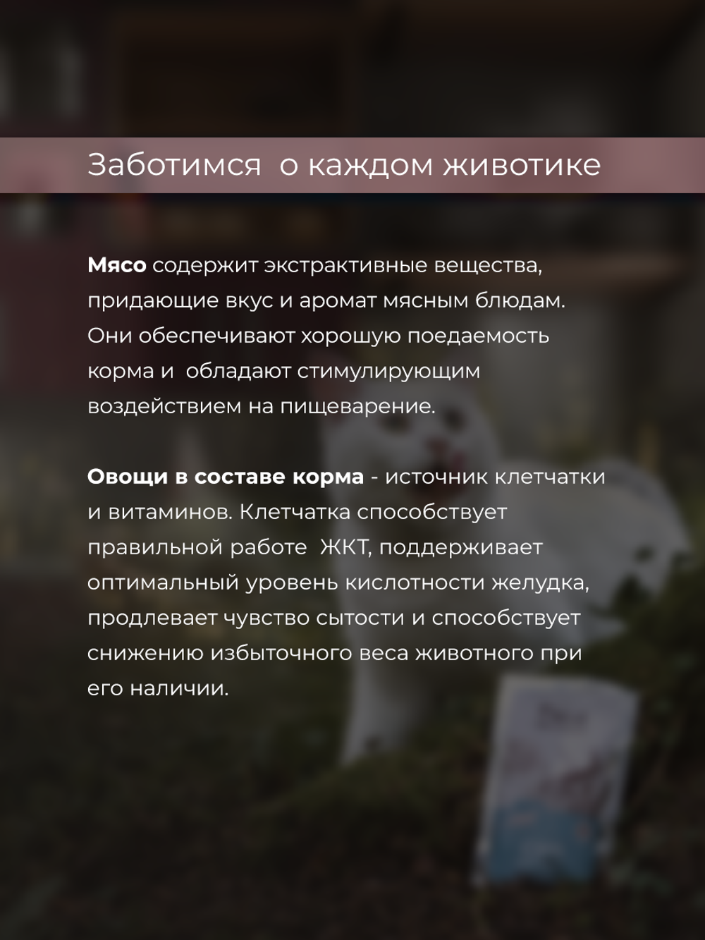 НАБОР Консервы DELISH Super Premium для кошек (суп) с говядиной и овощами - 10 шт х 80 гр