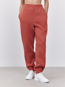 Брюки женские с начесом (терракотовый)