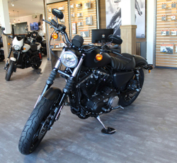 Iron  883 (XL883N) Harley-Davidson® Sportster® 2020