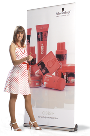 Премиальные Roll-Up