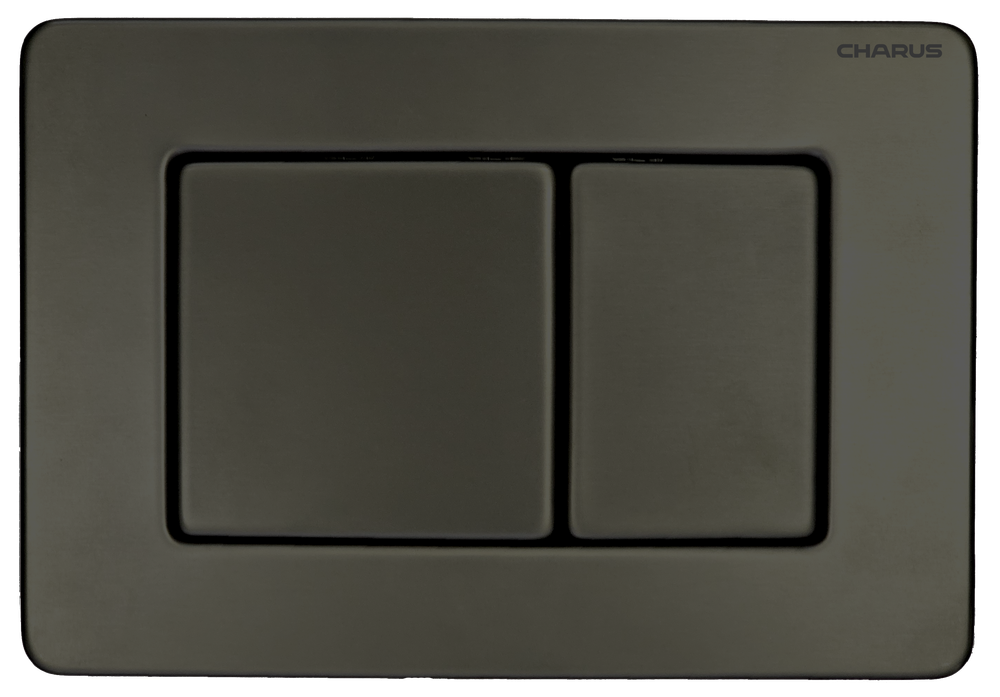 Клавиша для инсталляции CHARUS Robusto FP.310.GNM.05, оружейная сталь