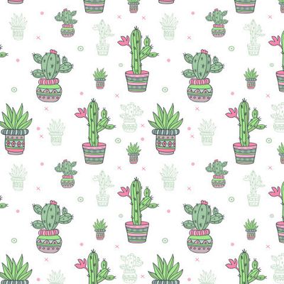 кактусы в горшках на белом фоне