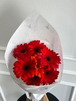 Кулек из гербер в красном оттенке 7 шт