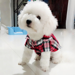 Кофта - рубашка фланелевая для мелких пород собак и кошек «BRO Style», цвет красный, р L