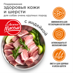 Корм сухой для взрослых собак очень крупных пород, премиум полнорационный комплекс, здоровье кожи и шерсти, с индейкой, 12 кг, QUATTRO