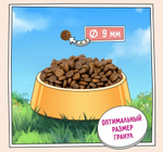 Корм для кошек сухой ZILLII Cat Adult Indoor 2кг, для домашних животных, с индейкой и ягнёнком