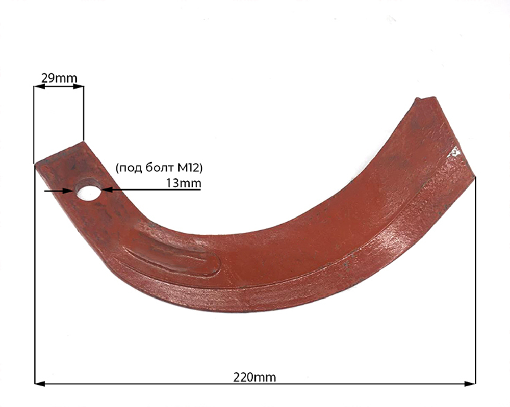 RF019-1